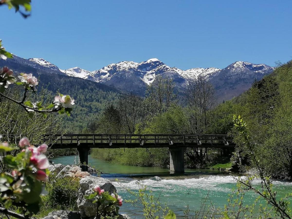 Apartma In Sobe Pr'Objan Bohinj Extérieur photo
