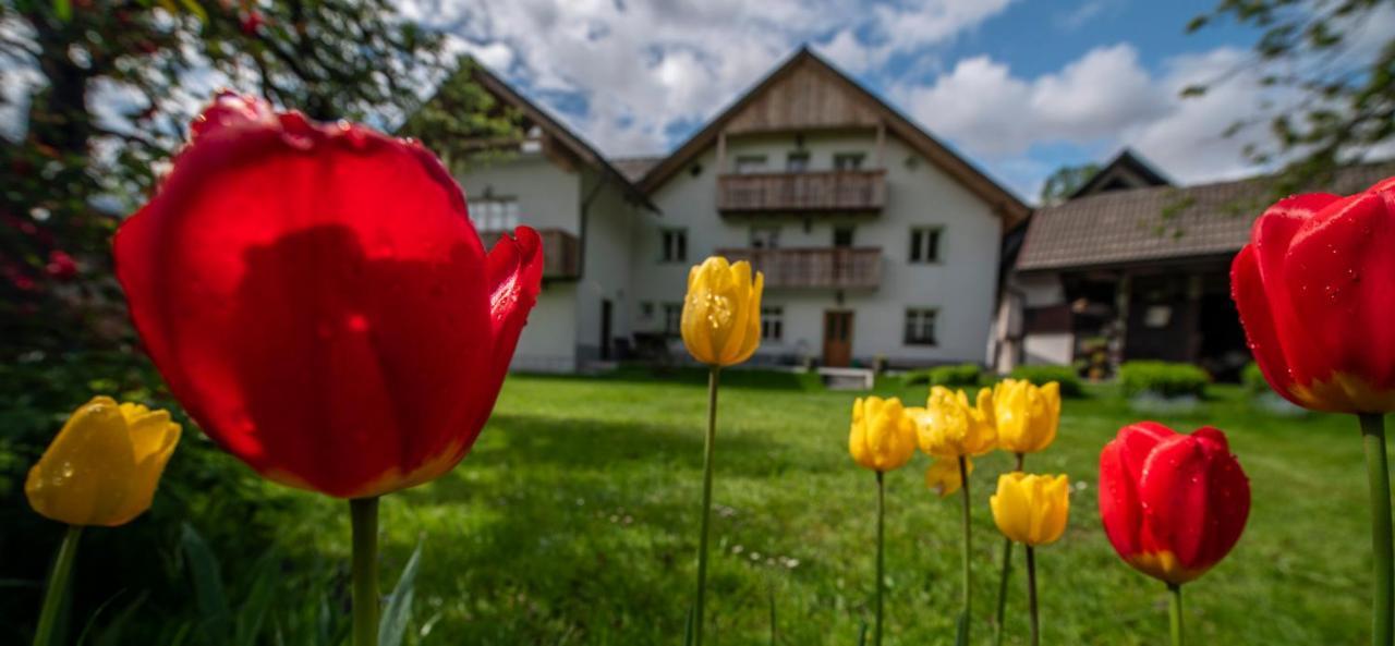 Apartma In Sobe Pr'Objan Bohinj Extérieur photo